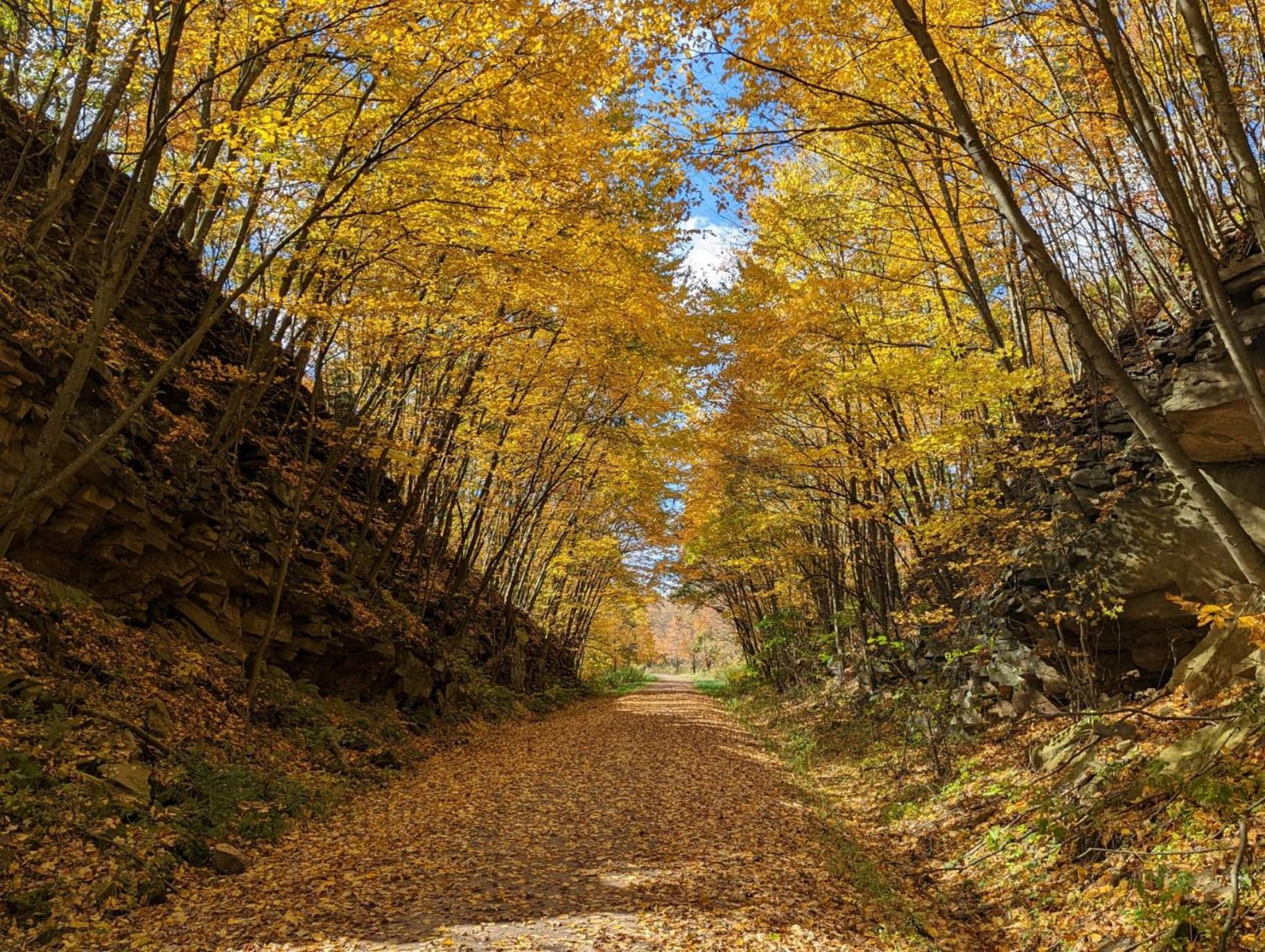 Stay In Ohiopyle Near Everything Including The Trail, Ohiopyle Pa Farmington Exterior foto